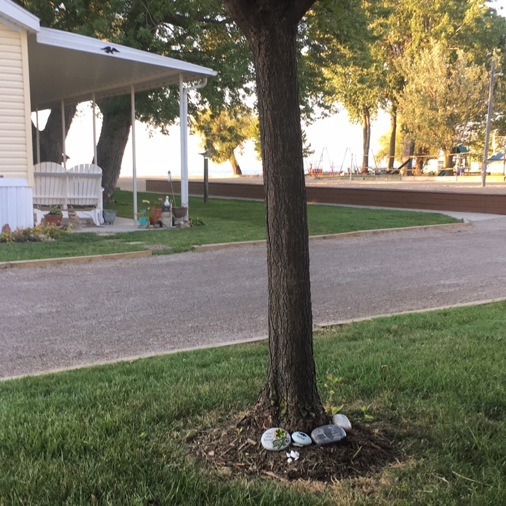 Meet your Posher, Joyce